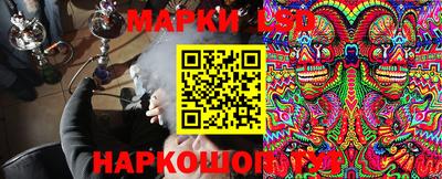 ГАЛЛЮЦИНОГЕННЫЕ ГРИБЫ Беслан