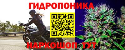 ГАЛЛЮЦИНОГЕННЫЕ ГРИБЫ Беслан