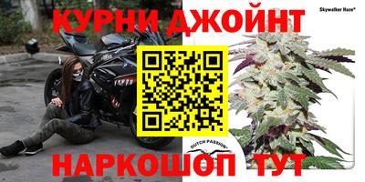 ECSTASY Бийск