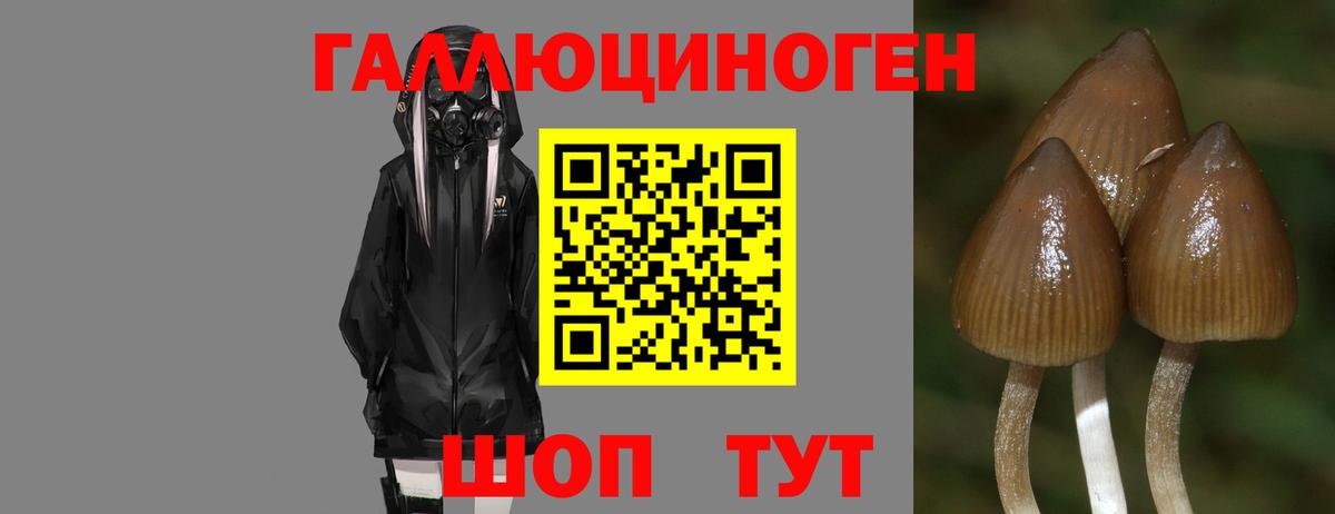 Псилоцибиновые грибы мицелий  Вход с VPN  Зима 